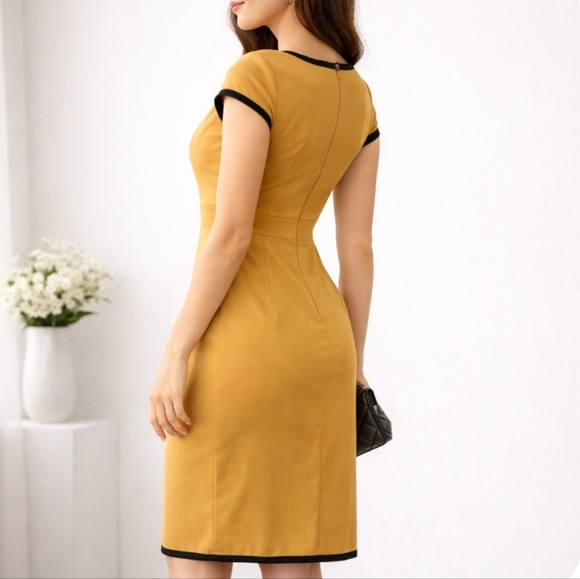 Donna Ricco New York | Elegant Beige Brown Dress Black Accents - Picture 3 of 7